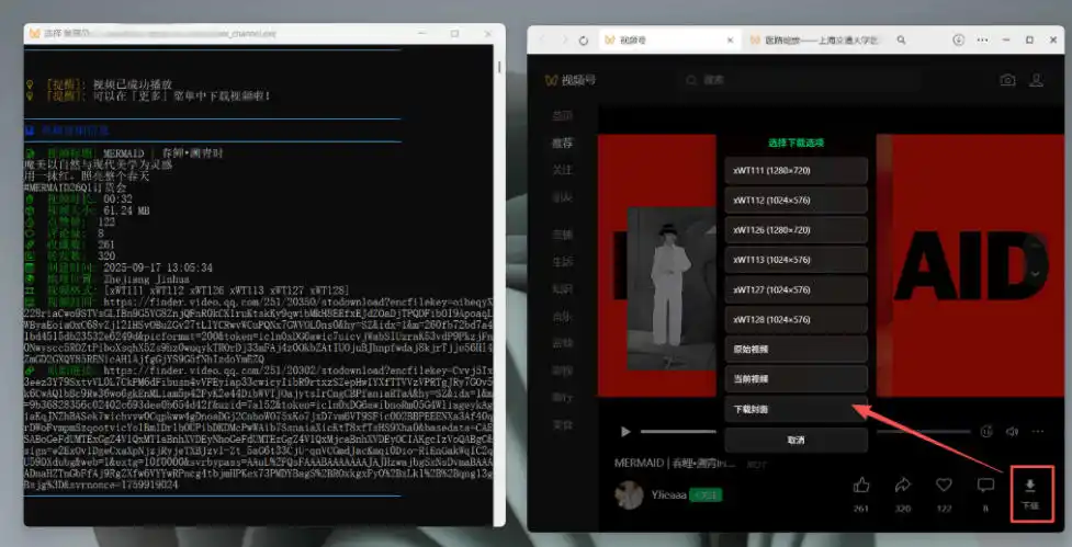 Github热门工具，视频号下载神器又来了！一键注入下载按钮，轻松下载，使用便捷wx_channel-豌豆轻创
