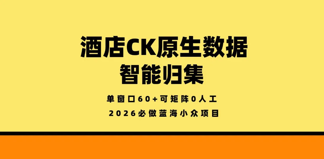 酒店CK原生数据智能归集，单窗口60+可矩阵0人工，2026必做蓝海小众项目【揭秘】-豌豆轻创