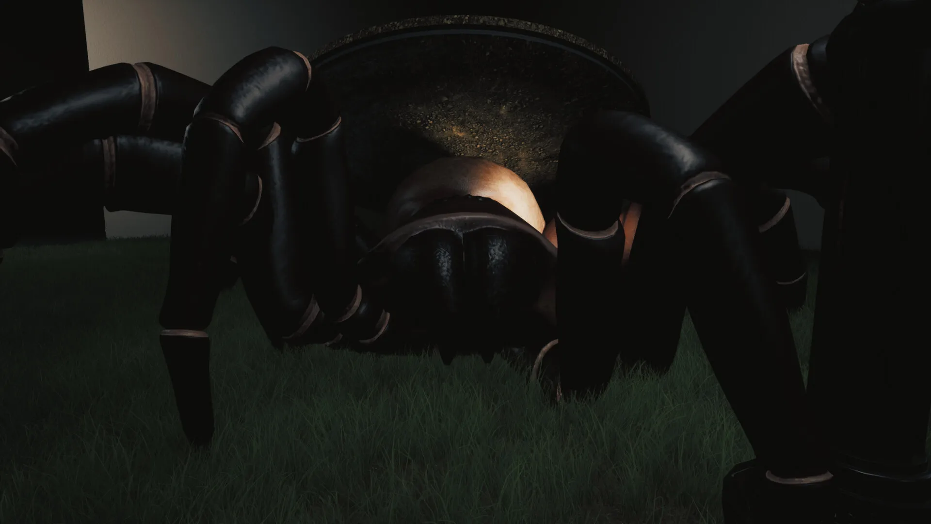 巨蛛猎手/Huntsman-豌豆轻创