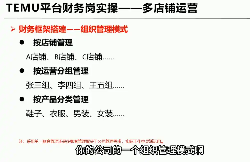 TEMU全盘账务实操课：账单导出、科目设置、利润核算-豌豆轻创