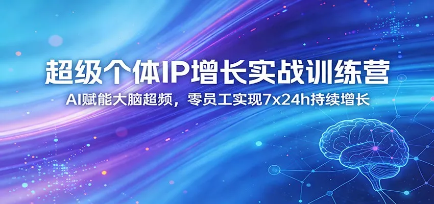 超级个体IP增长实战训练营：AI赋能大脑超频，零员工实现7x24h持续增长(更新)-豌豆轻创