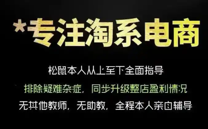 松鼠会电商VIP课程，从基础布局到高阶优化，助你掌握淘宝运营逻辑，提升店铺流量与转化(更新0901)-豌豆轻创