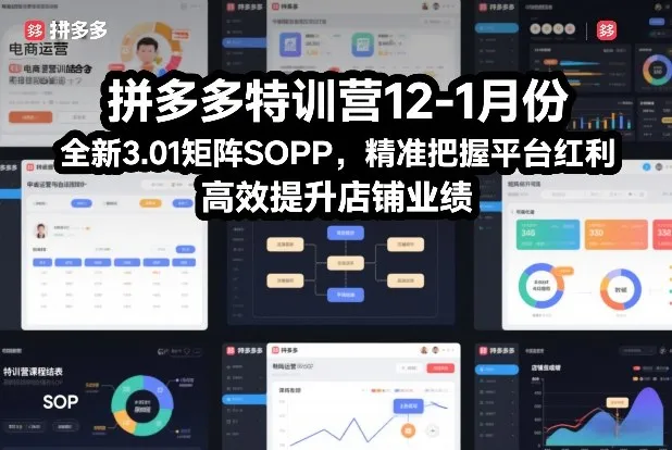 拼多多特训营12-1月份，全新3.01矩阵Sop，精准把握平台红利，高效提升店铺业绩-轻创