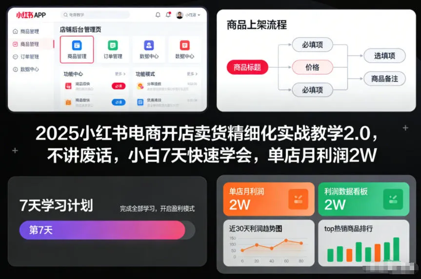 2025小红书电商开店卖货精细化实战教学2.0，不讲废话，小白7天快速学会，单店月利润2W-轻创