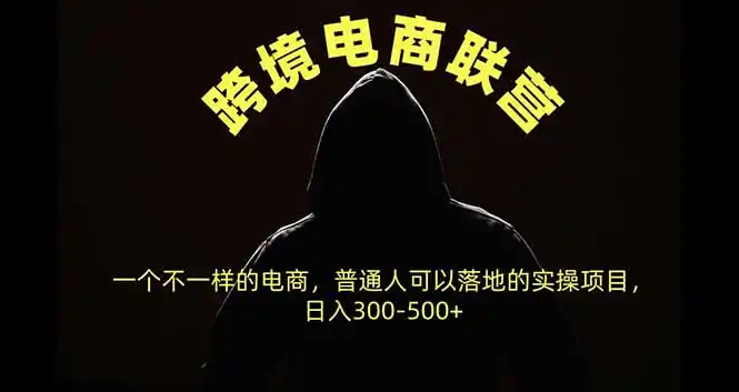 跨境电商联营，一个不一样的电商，普通人可操作日入300-500+-豌豆轻创