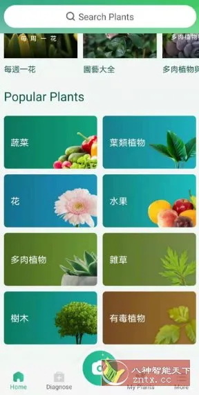 PictureThis 植物识别v5.25.0专业版-豌豆轻创