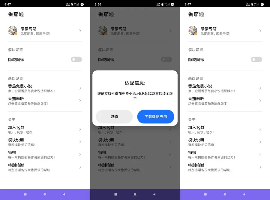 番茄通1.0.4番茄小说番茄畅听VIP解锁模块-轻创