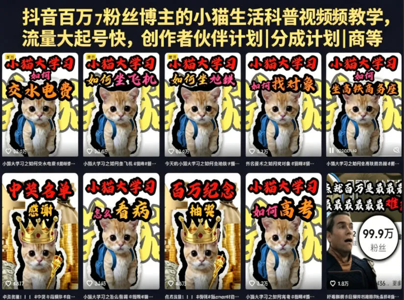 抖音百万粉丝博主的小猫生活科普视频教学，流量大起号快，创作者伙伴计划|分成计划|商单|收徒等-豌豆轻创