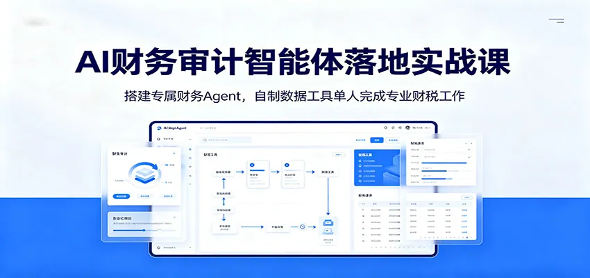 AI财务审计智能体落地实战课：搭建专属财务Agent，自制数据工具单人完成专业财税工作-豌豆轻创