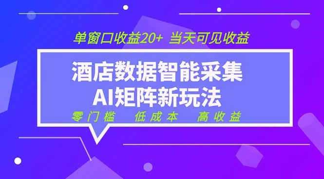 2026酒店数据采集ai智能矩阵新风口 低成本 高收益 当天见收益 单窗口20+-豌豆轻创