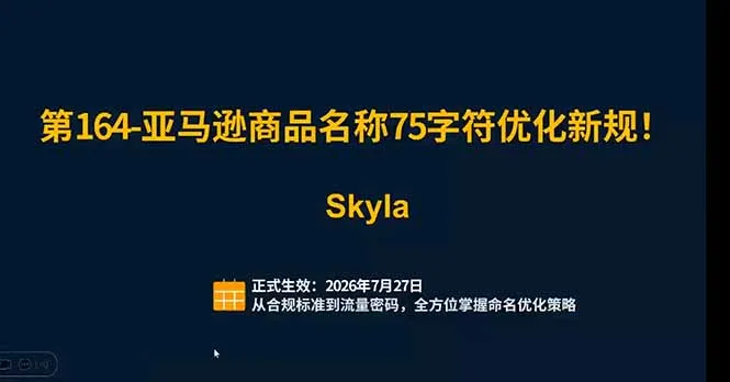 亚马逊跨境实战课：全品类选品逻辑｜SP/SB/SD广告精细化｜新品打爆旺季爆单全套运营教程-豌豆轻创