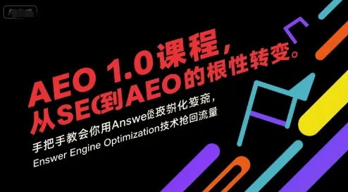 AEO 1.0 课程，从SEO到AE0的基命性转变，手把手教会你用AnswerEngineOptimization技术抢回流量(更新)-轻创
