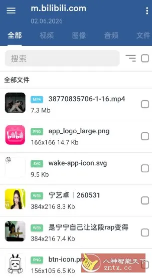 GetThemAll全能下载器3.6.5-豌豆轻创
