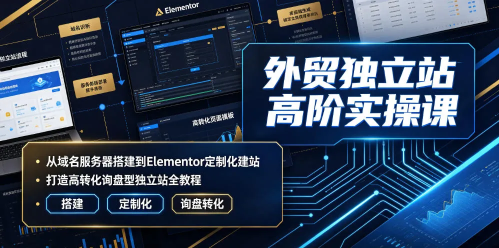 外贸独立站高阶实操课｜从域名服务器搭建到Elementor定制化建站，打造高转化询盘型独立站全教程-豌豆轻创