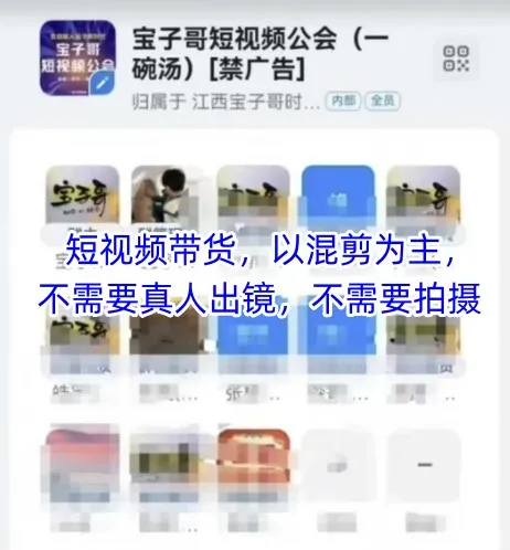 宝子哥头部团队短视频带货,以混剪为主,不需要真人出镜,不需要拍摄【更新26年1月】-轻创
