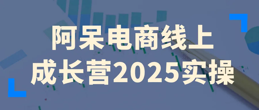 阿呆电商线上成长营2025实操-轻创