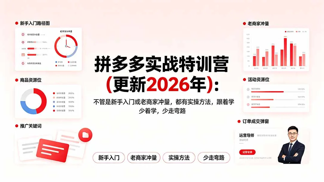 拼多多实战特训营(更新2026年-豌豆轻创