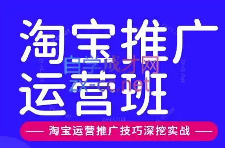 美迪电商·淘宝高级运营班+推广运营班(更新10月)-豌豆轻创