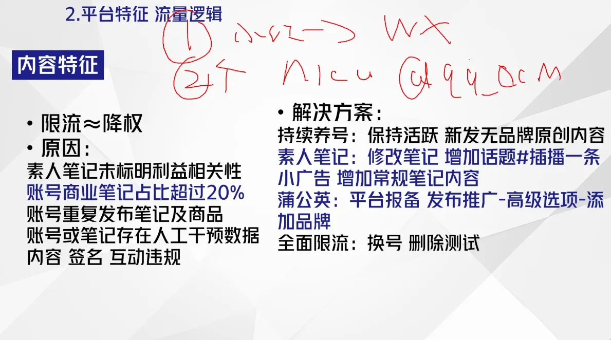 尼采老师·小红书爆单系列课-轻创