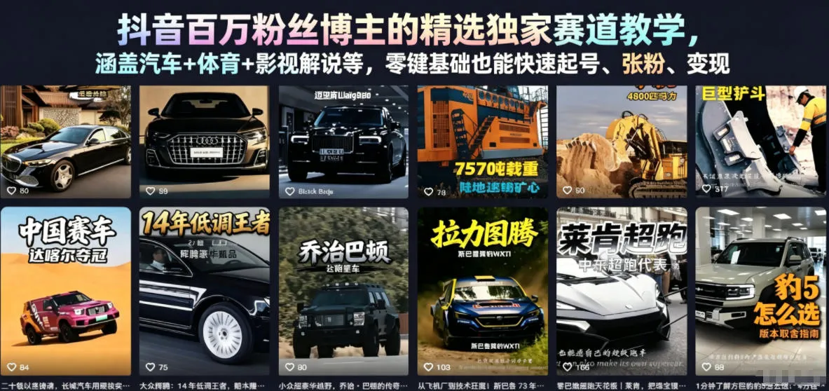 抖音百万粉丝博主的精选独家赛道教学，涵盖汽车+体育+影视解说等，零基础也能快速起号、涨粉、变现-豌豆轻创