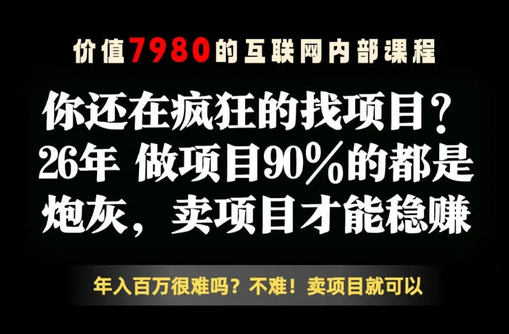 26年请不要疯狂的找项目了，卖项目远比你想象的暴利，你也可以月入10W+【揭秘】-豌豆轻创