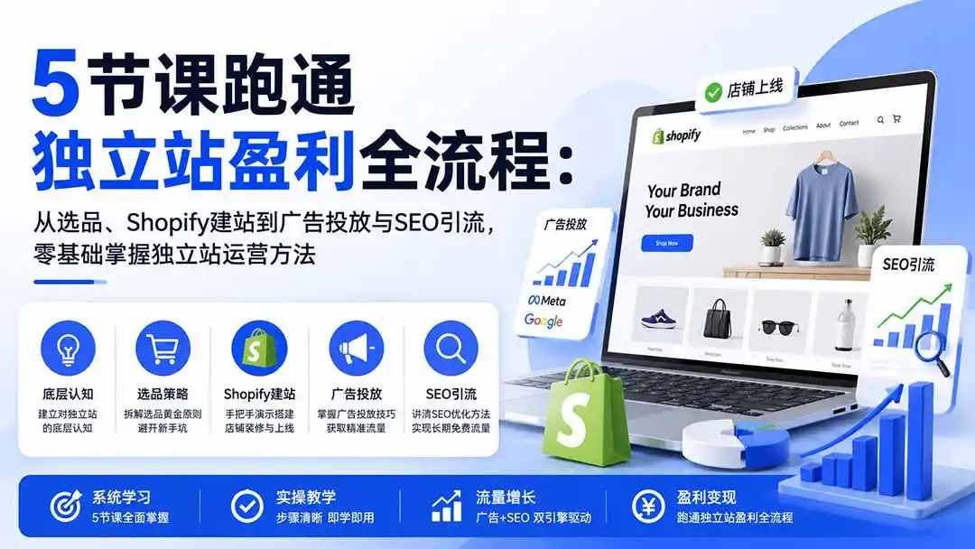 5节课跑通独立站盈利全流程:从选品、Shopify建站到广告投放与SEO引流,零基础掌握独立站运营方法-豌豆轻创