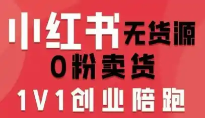 小红书无货源0粉电商课，开店准备、选品策略、笔记撰写、视频剪辑、数据分析、账号打造、资料文档(更新26年09月16日)-豌豆轻创