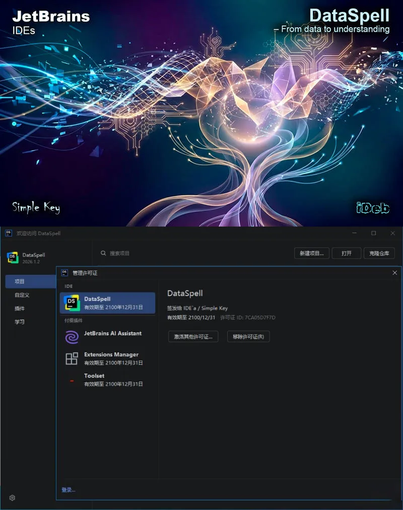 DataSpell v2026.1.2 直装特别版-豌豆轻创