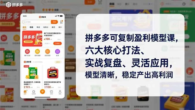 拼多多可复制盈利模型课，六大核心打法、实战复盘、灵活应用，模型清晰，稳定产出高利润-轻创