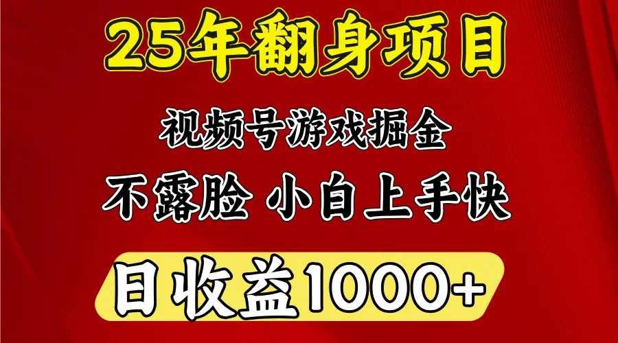 一天收益1000+ 25年开年落地好项目-轻创