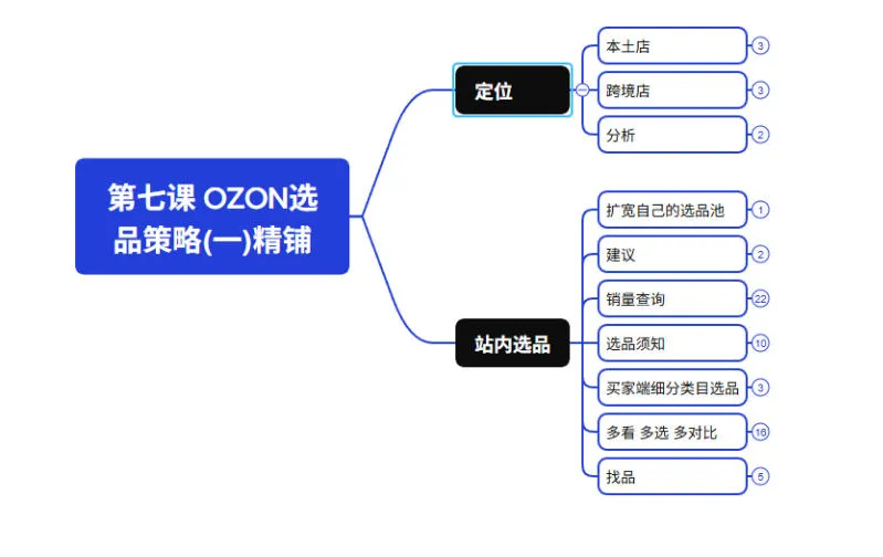 2026最新OZON全流程运营实操跨境电商平台教程，OZON全流程一站式系统学习必修课，从开店到跟卖到精铺-豌豆轻创