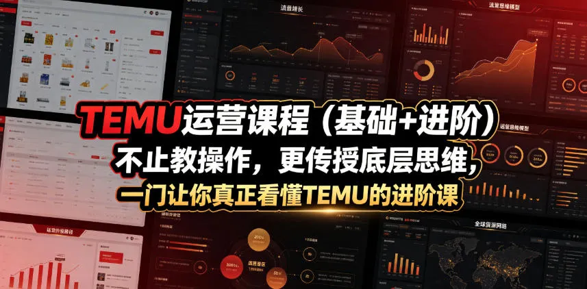 TEMU运营课程(基础+进阶)，不止教操作，更传授底层思维，一门让你真正看懂TEMU的进阶课-豌豆轻创