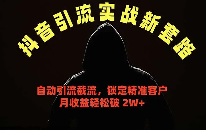 抖音引流实战新套路，挂机自动引流截流精准锁定客户，月收益破 2W+-豌豆轻创