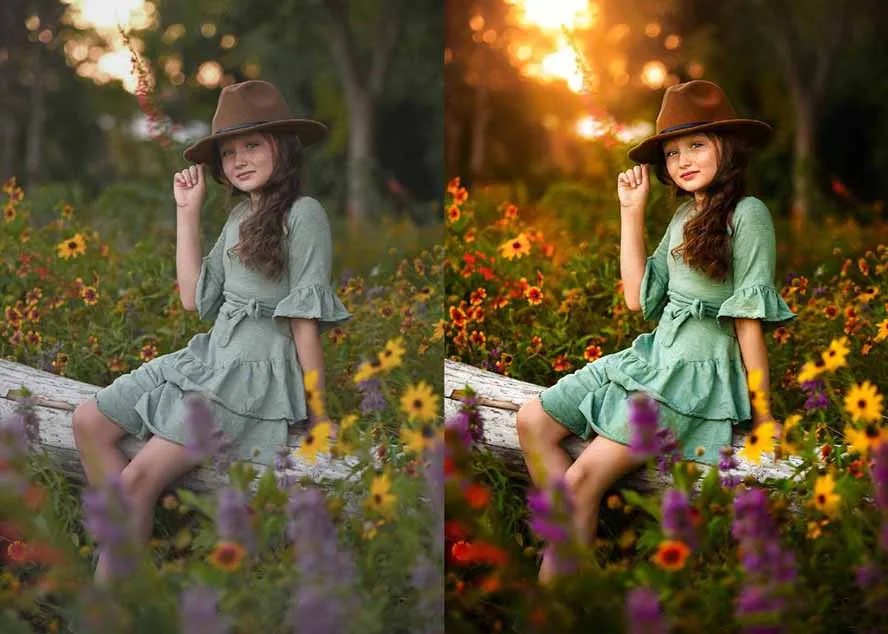 大师级GTG出品-老友记系列AI自适应预设The Friends Preset Collection-轻创