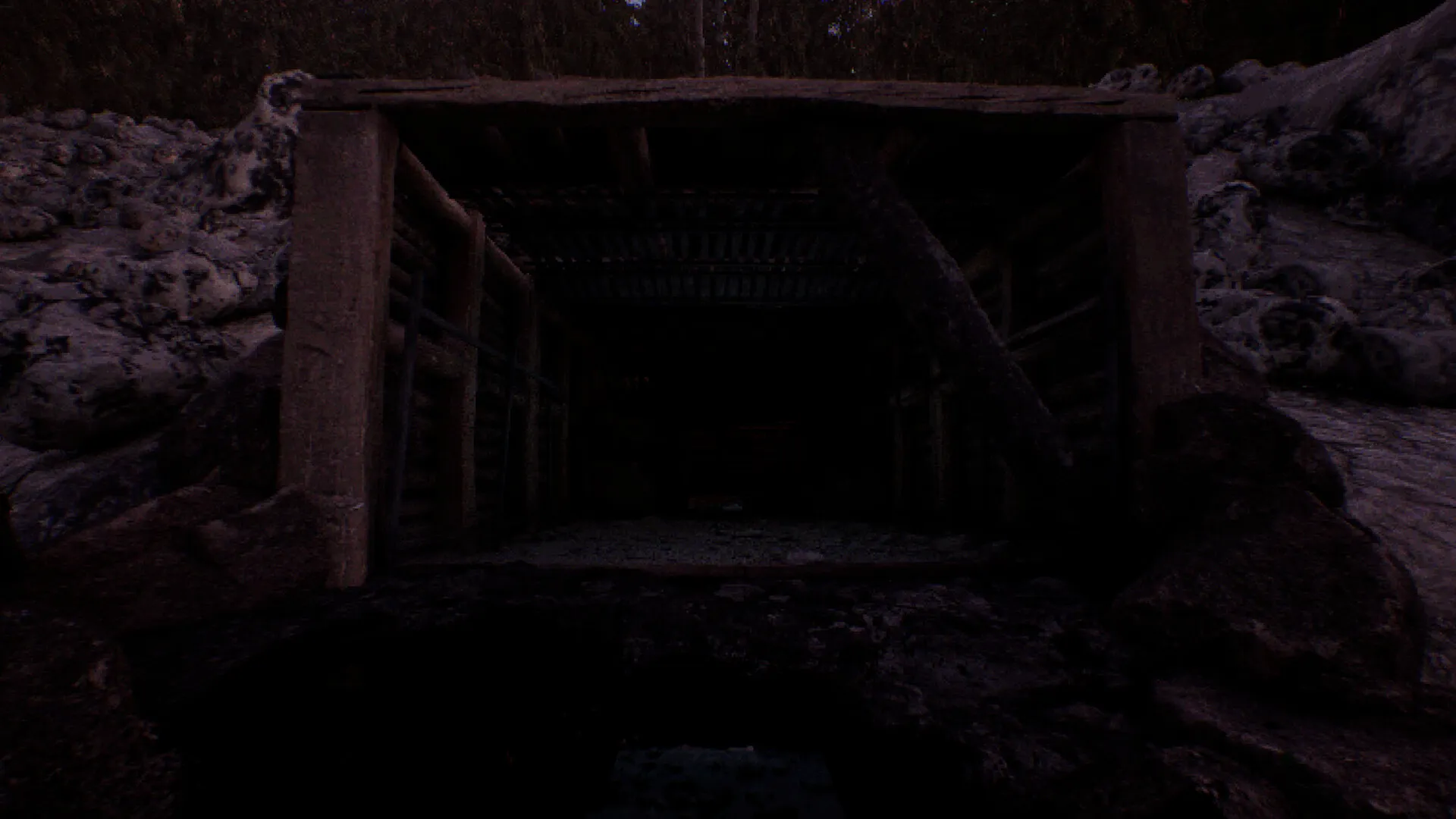 凝视之林:虱子/The Watching Woods: The Louse 凝视之林:虱子/The Watching Woods: The Louse