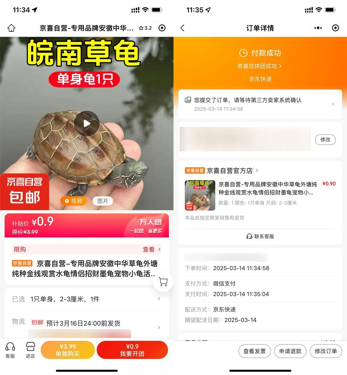 京东拼团0.9亓撸中华草龟1只-趣奇资源网-第5张图片