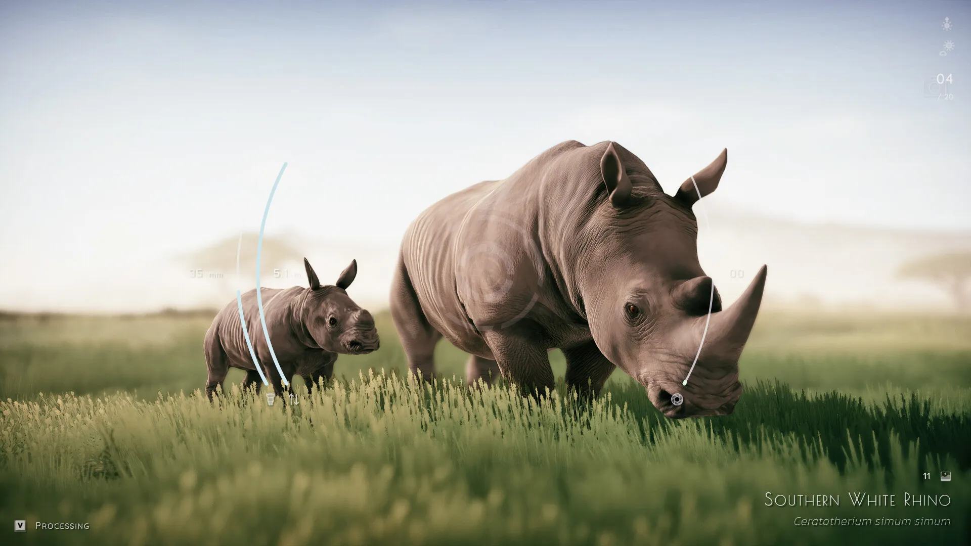 幽居之境/Seclusa-豌豆轻创