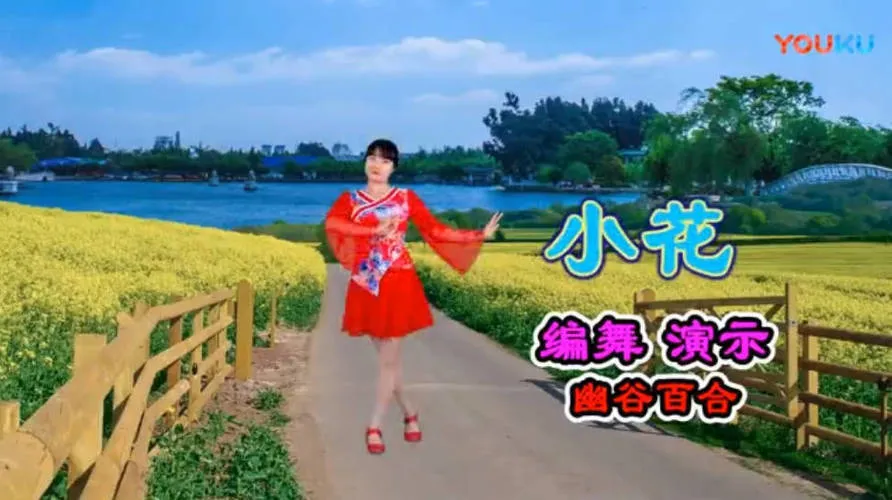 精选高清广场舞视频教学合集500首-轻创