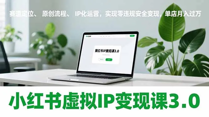 小红书虚拟IP变现课3.0，赛道定位、原创流程、IP化运营，实现零违规安全变现，单店月入过万-轻创