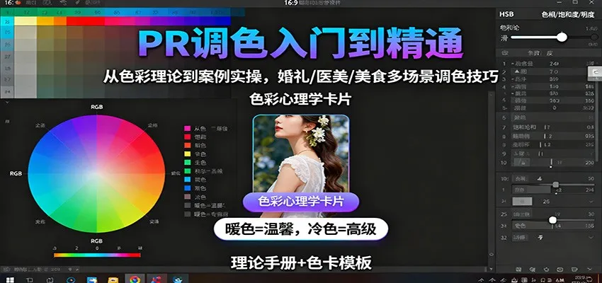 PR调色入门到精通：从色彩理论到案例实操，婚礼/医美/美食多场景调色技巧-轻创