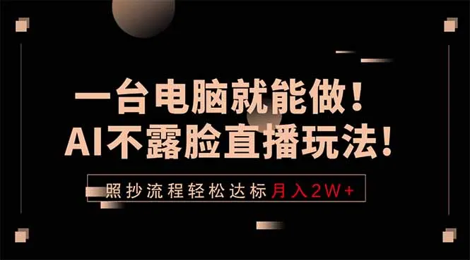 一台电脑就能做！AI不露脸直播玩法，照抄流程轻松达标月入2W+-豌豆轻创