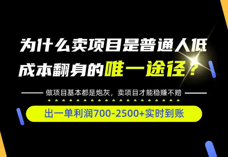普通人如何靠互联网賺取自己的第一桶金！全类目实操型教学，看完你全都懂了！【揭秘】-豌豆轻创