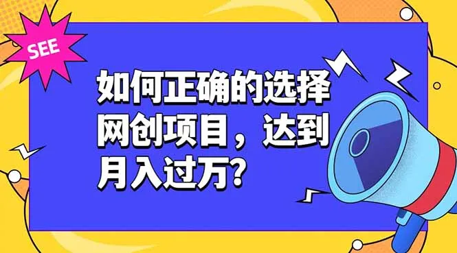 如何正确的选择网创项目，达到月入过万？，本课程教你正确选择项目。-豌豆轻创