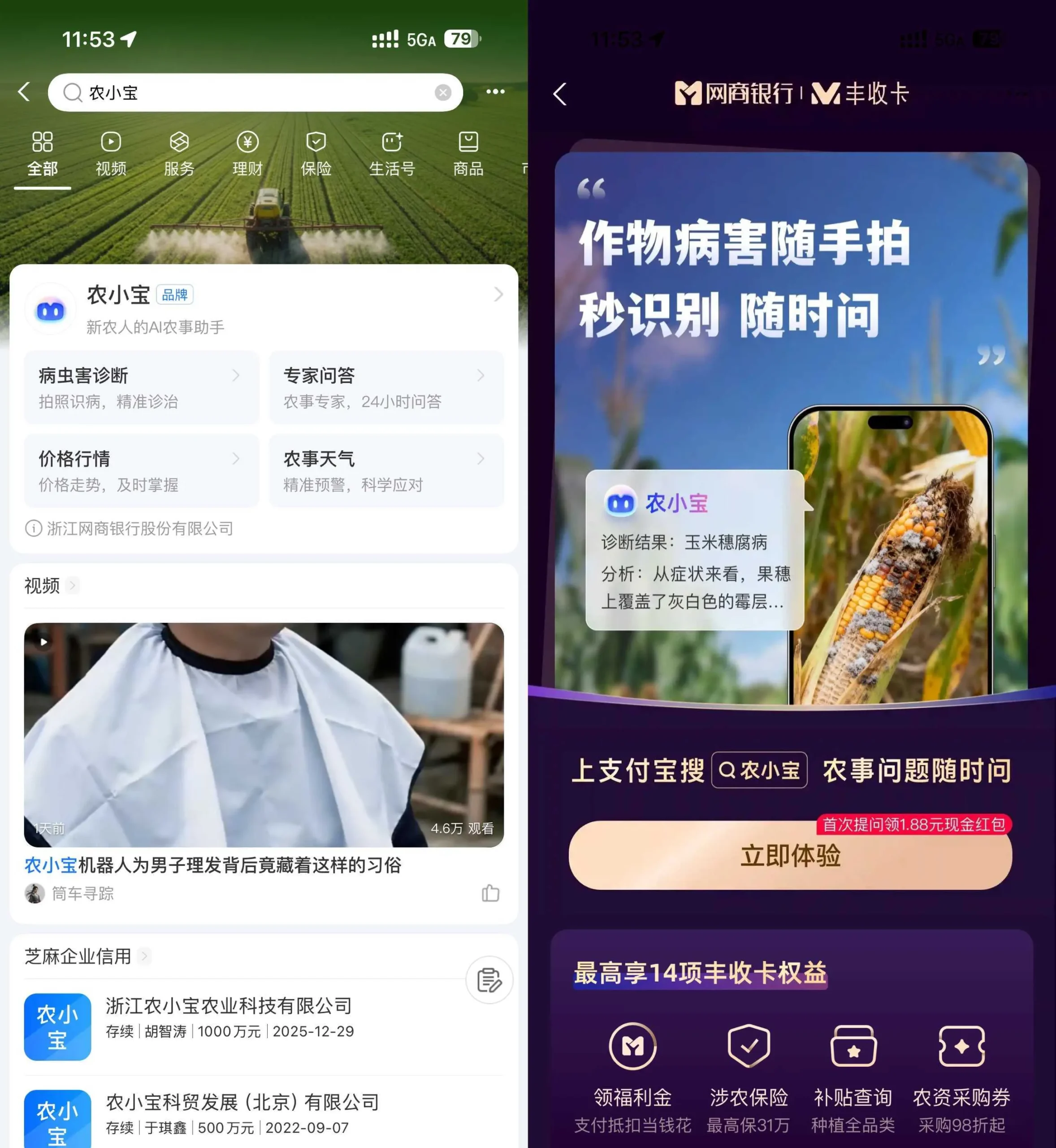 支付宝农小宝首次提问得1.88亓-豌豆轻创