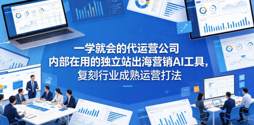 一学就会的代运营公司内部在用的独立站出海营销AI工具，复刻行业成熟运营打法-豌豆轻创