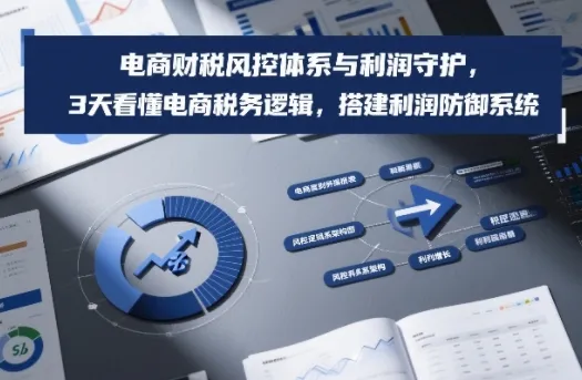 电商财税风控体系与利润守护，3天看懂电商税务逻辑，搭建利润防御系统-轻创