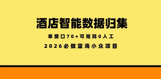 酒店智能数据归集，小众蓝海已经稳定半年之久，单窗口70+零成本矩阵开干【揭秘】-豌豆轻创