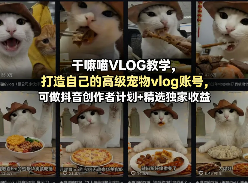 干嘛喵VLOG教学，打造自己的高级宠物vlog账号，可做抖音创作者计划+精选独家收益-豌豆轻创