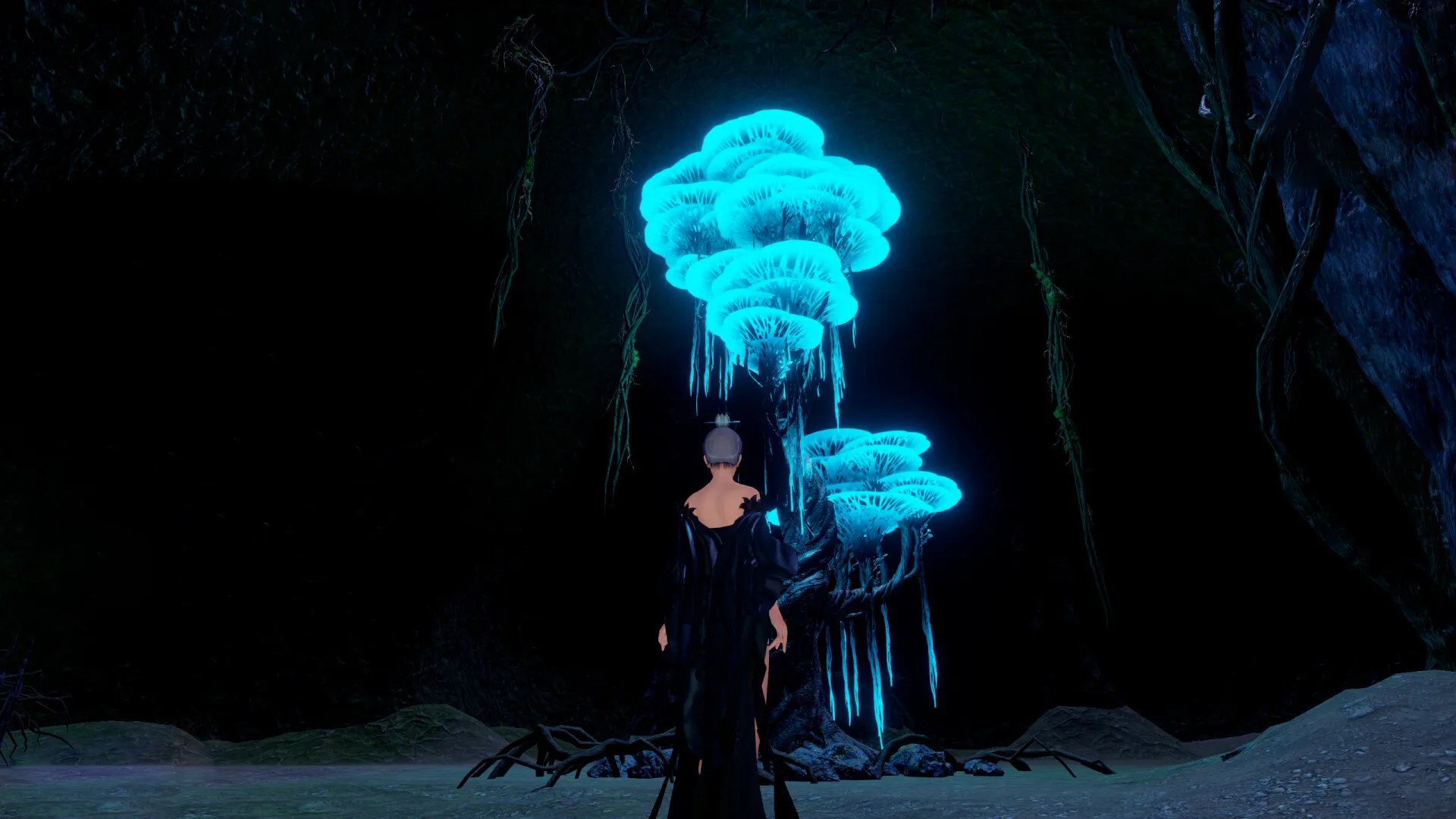 《轮回修仙路》中文版