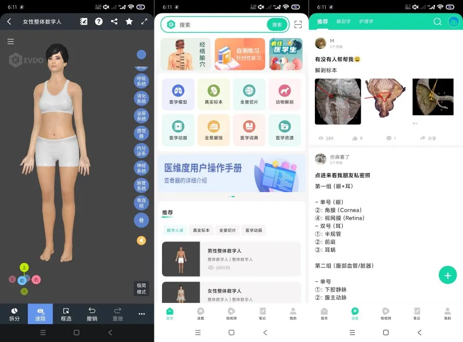 医维度解剖3.3.21一键解刨｜医学知识｜一键脱衣等-豌豆轻创